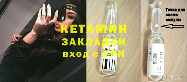 крисы Алексин