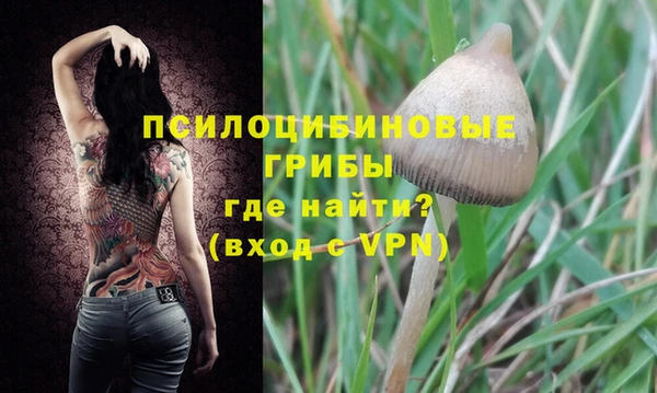 гидропоника Алексеевка