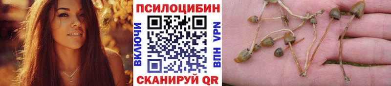 Галлюциногенные грибы Psilocybine cubensis  купить наркоту  Мышкин 